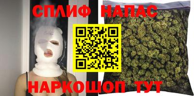 хмурый Бийск